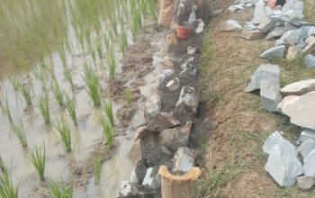 Desa Pasir Tanjung  Kena Temuan Hasil Pemeriksaan Inspektorat Mencapai Puluhan Juta