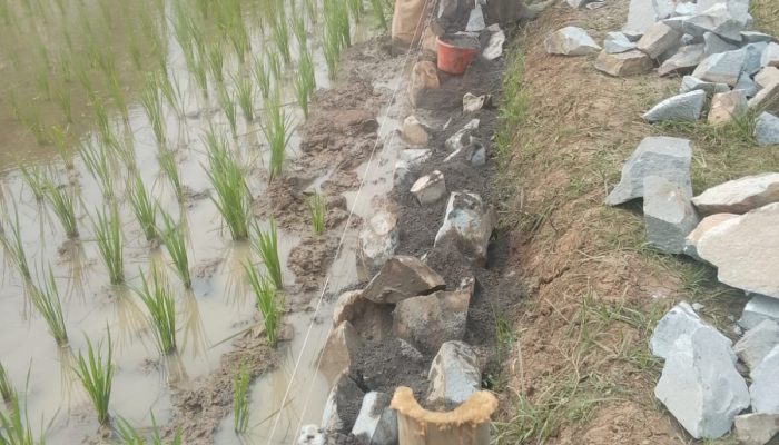 Desa Pasir Tanjung  Kena Temuan Hasil Pemeriksaan Inspektorat Mencapai Puluhan Juta