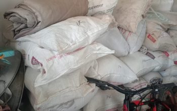 PPL Mengaku Tak Tahu Alur Bantuan Benih Padi, Penyaluran di Banyusari Dipertanyakan