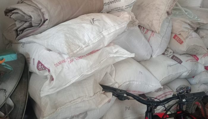 PPL Mengaku Tak Tahu Alur Bantuan Benih Padi, Penyaluran di Banyusari Dipertanyakan
