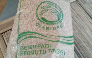 Diduga Ada Pungutan Bantuan Benih Padi, Oknum PPL di Kutawaluya Disorot
