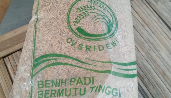 Diduga Ada Pungutan Bantuan Benih Padi, Oknum PPL di Kutawaluya Disorot