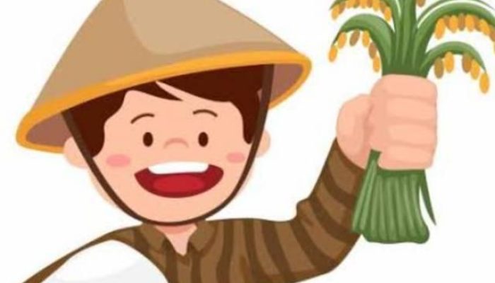 MIRIS! Gapoktan Kutaraharja Keluarkan  Biaya Angkut Rp2 Juta untuk Bantuan Benih Padi, Padahal Pusat Tegaskan Gratis