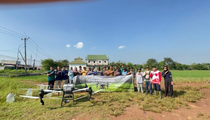 Sinergi Dinas Pertanian dan Mitra, Temu Lapang Pengendalian Hama Padi Digelar di Purwasari