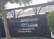 Dari Dinas Pertanian Hanya Sebagai Pendamping Semua Pelaksanaan Kegiatan RJIT Yang Dikerjakan Oleh Kelompok Tani