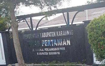 Dari Dinas Pertanian Hanya Sebagai Pendamping Semua Pelaksanaan Kegiatan RJIT Yang Dikerjakan Oleh Kelompok Tani