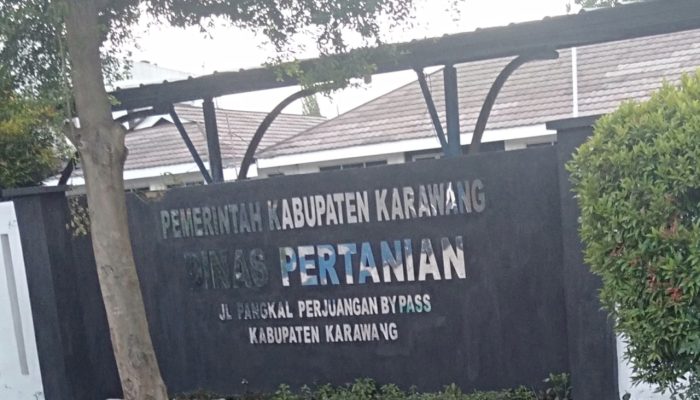Dari Dinas Pertanian Hanya Sebagai Pendamping Semua Pelaksanaan Kegiatan RJIT Yang Dikerjakan Oleh Kelompok Tani