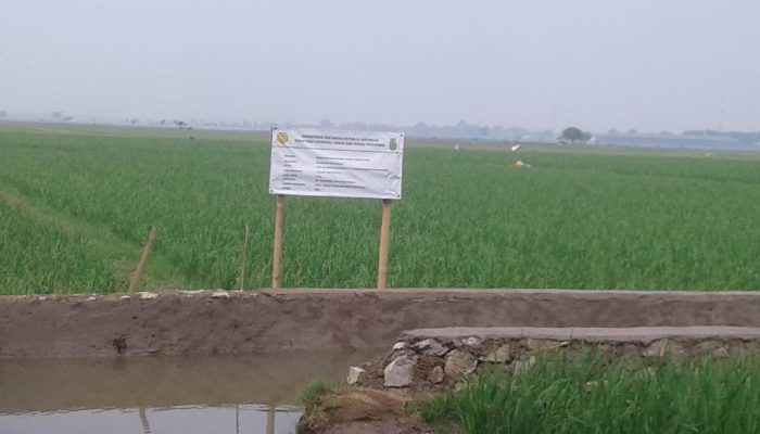 Proyek Pertanian di Telagasari Diduga Dikerjakan Asal Jadi, Kualitas Material Disorot