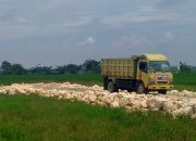 Hormati Aturan, Pembangunan Kandang Ayam di Payungsari Dihentikan Sementara