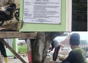 Proyek Pemagaran Kantor Kecamatan Purwasari Disorot, Pekerja Mengaku Tidak Diberi APD