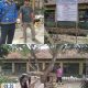 Mandor Bersama Pengawas Dinas PUPR Memberikan Klarifikasi di Lokasi Proyek Pemagaran Kecamatan Purwasari