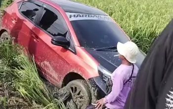 MINIBUS TERPEROSOK KE SAWAH DI RANCANUNGGUL CILEBAR