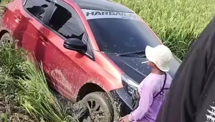 MINIBUS TERPEROSOK KE SAWAH DI RANCANUNGGUL CILEBAR