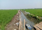 Proyek Turap Saluran OPLAH di Desa Lemahkarya Jadi Sorotan, Pekerja Diduga Abaikan K3 dan Papan Informasi Tak Terpasang