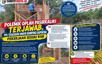 Polemik Oplah Pasirkaliki Terjawab, PPL Tegaskan Hanya Dampingi Gapoktan, Pekerjaan Sesuai RAB